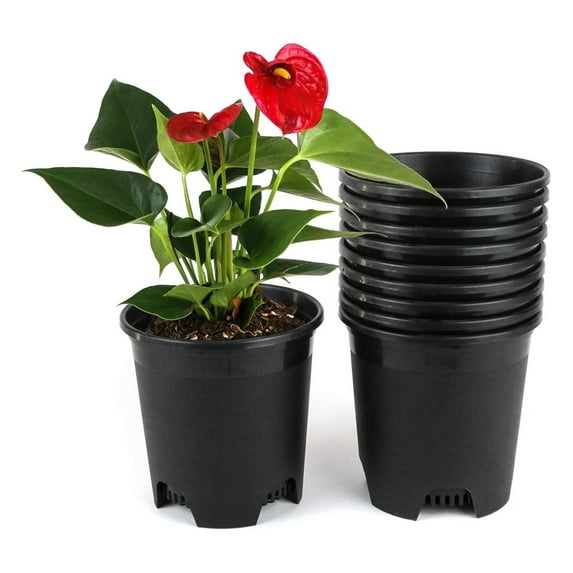 Wholesale Bulk Nursery Pot 5.5 Inch Black Plastic Planters 30-Pack 0.5 Gallon Pots for Outdoor Indoor Plants Gardening Flower with Drainage Holes