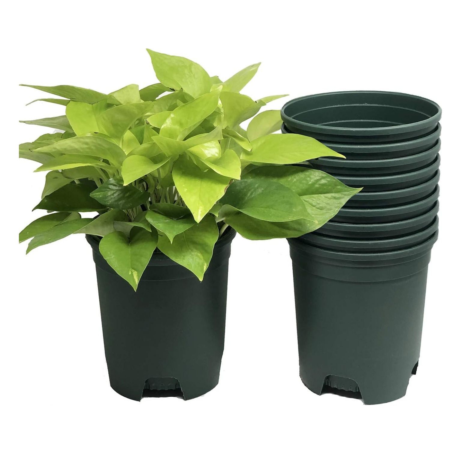 Wholesale Bulk Nursery Pot Plastic Planters 30Pack 1 Gallon Pots for