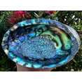 thumbnail image 1 of Wholesale Jumbo Abalone Shell, 7-8" Seashell Incense Burner, Smudge Bowl for Holding Smudge Sticks, Incense, Crafts, Display (3 shells), 1 of 6