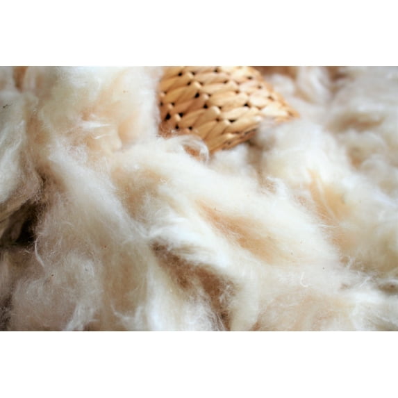 Wholesale Natural Kapok Fill for Pillows, Crafts, Cushions (100 lb)