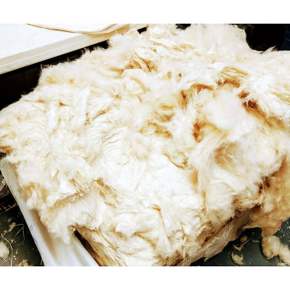 Wholesale Natural Kapok Fill for Pillows, Crafts, Cushions (1000 lb)