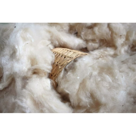 Wholesale Natural Kapok Fill for Pillows, Crafts, Cushions (5 lb)