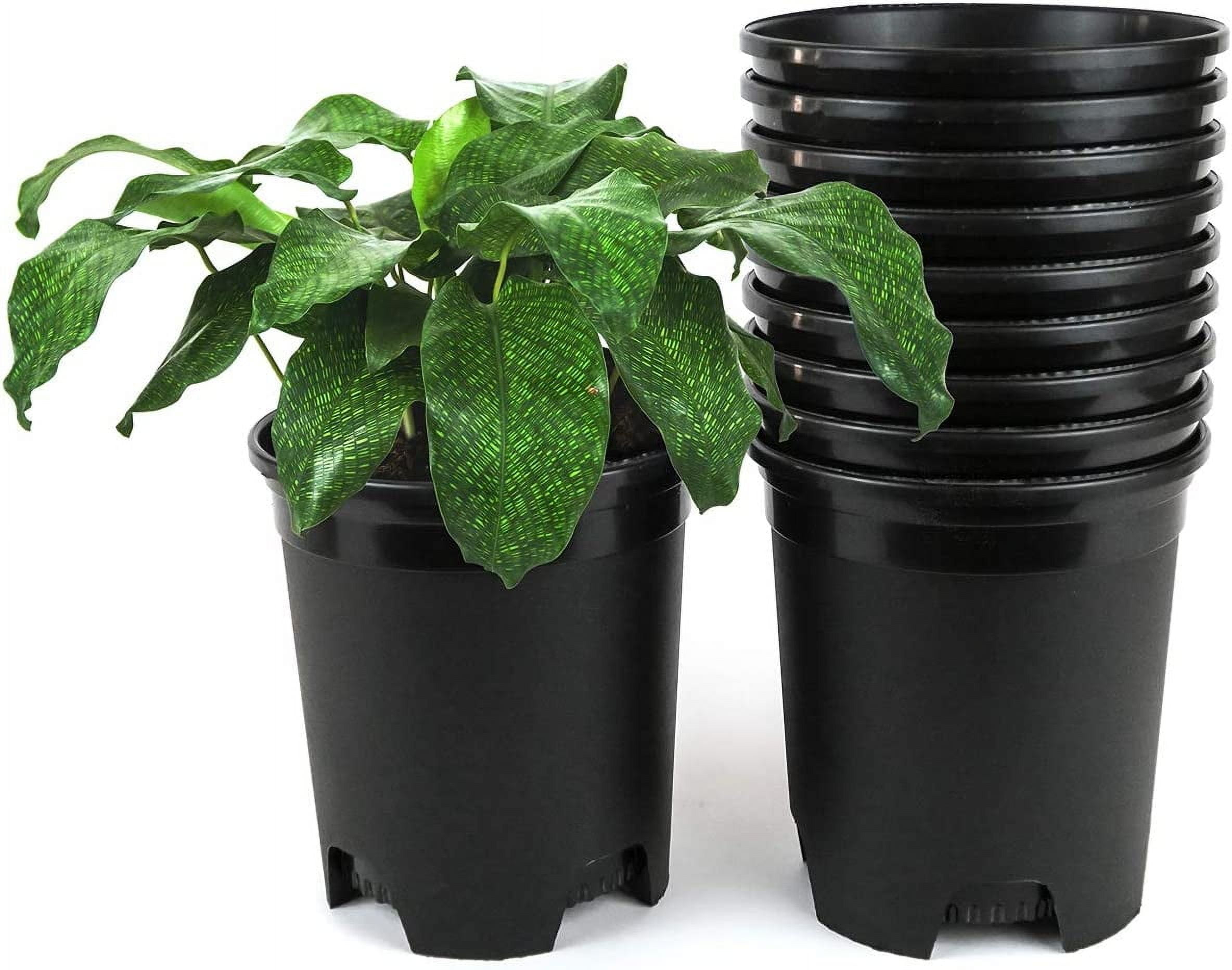 Wholesale Nursery Pot in BulkPlastic Planters for Outdoor Indoor  Gardening Flower Pots with Drainage Holes Color