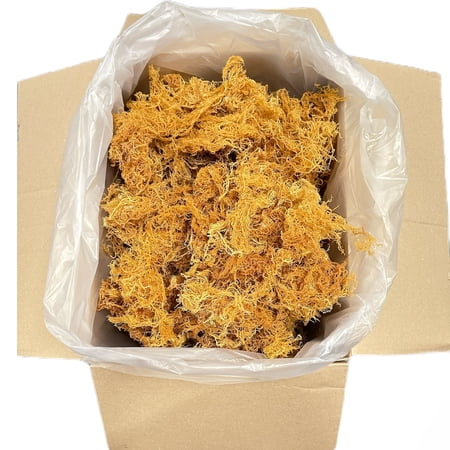 Wholesale Sea Moss Gold Sea Moss 5 lbs Bulk Sea Moss 5 lbs