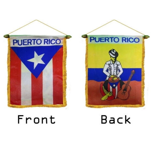 Wholesale lot 12 Puerto Rico Man Double Sided Mini Flag 4"x6" Window Banner