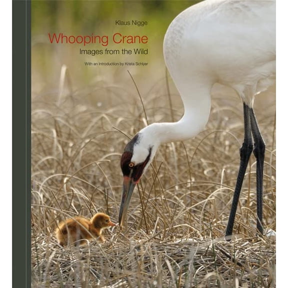 Pre-Owned Whooping Crane: Images from the Wild Paperback
