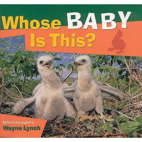 Whose?: Whose Baby Is This? (Paperback)