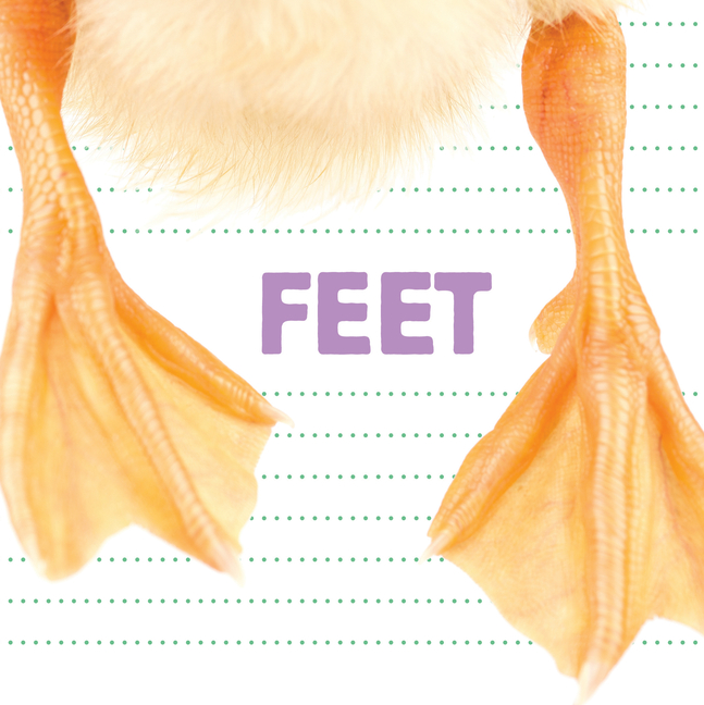 Whose Is It? Feet, (Board Book)