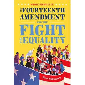 Pre-Owned Whose Right Is It? the Fourteenth Amendment and the Fight for Equality (Hardcover) 1250225272 9781250225276