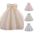 thumbnail image 1 of WhouRiu Baby Girls Flower Embroidery Dresses Sleeveless Crew Neck Pageant Party Gown Kids Comfortable Elegant Pleated Princess Dress,12-18 Months, 1 of 9
