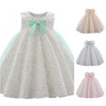 thumbnail image 1 of WhouRiu Baby Girls Flower Embroidery Dresses Sleeveless Crew Neck Pageant Party Gown Kids Comfortable Elegant Pleated Princess Dress,18-24 Months, 1 of 5