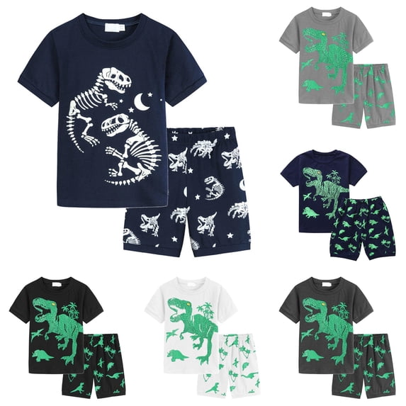 WhouRiu Boys Casual Outfits Short Sleeve Dinosaur Graphic Tees And Shorts Sets Kids Summer Clothes