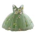 thumbnail image 1 of WhouRiu Dress for Girl Flower Embroidery Sleeveless Tulle Princess Dress Baby Fashion Birthday Party Gown Green,Size 3-6 M, 1 of 5