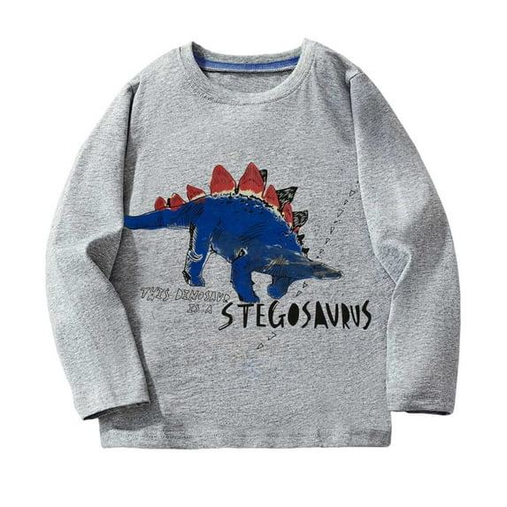 WhouRiu Little Boys' Hoodies Sweatshirts Dinosaur Print Long Sleeve Tops Kids Soft Loose Winter Clothes Gray,Sizes 6-7