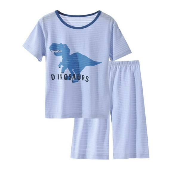 WhouRiu Toddler Boy' Pajamas Dinosaur Print Short Sleeve T-Shirt Elastic Waist Pants Kids Comfy Loungewear Outfits Blue,Sizes 4-5