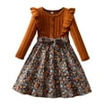 thumbnail image 1 of WhouRiu Toddler Girls' Dress Elegant Floral Print Knit Long Sleeve Dress Child Vintage Holiday Autumn Winter Dresses Brown,Sized 2-3, 1 of 8