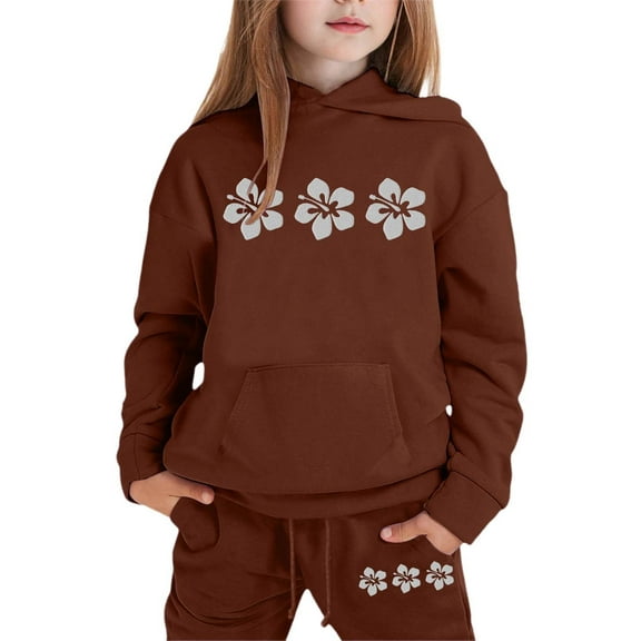 WhouRiu Toddler Girls' Outfits Print Long Sleeve Hooded Sweatshirt Pants Loose Sport Fall Winter Outfit Set Brown,Sized 2-3