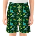 thumbnail image 1 of Whouriu Boys Dinosaur Print Swim Trunks Quick Dry Stretch Swim Shorts Bathing Suit, Sizes 2-14, 1 of 4