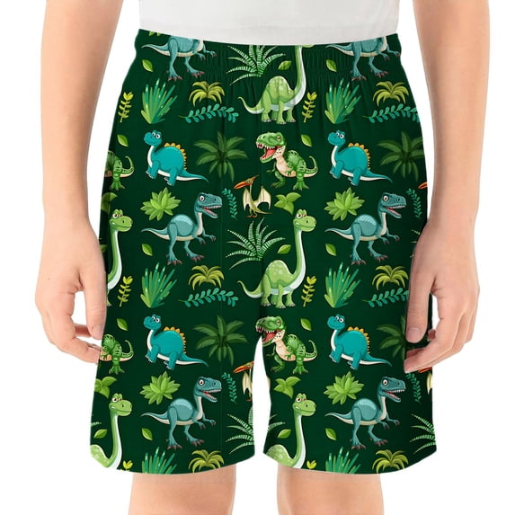 Whouriu Boys Dinosaur Print Swim Trunks Quick Dry Stretch Swim Shorts Bathing Suit, Sizes 2-14