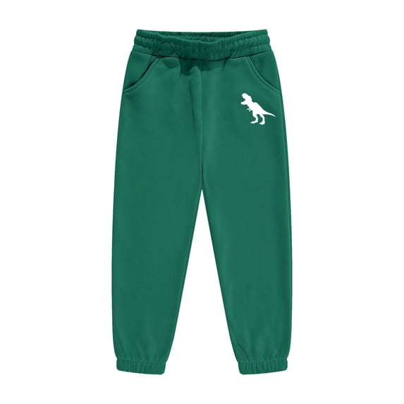 Whouriu Boys Jogger Pants Dinosaur Print Straight Leg Elastic Waist Sweatpants, Sizes 2-13