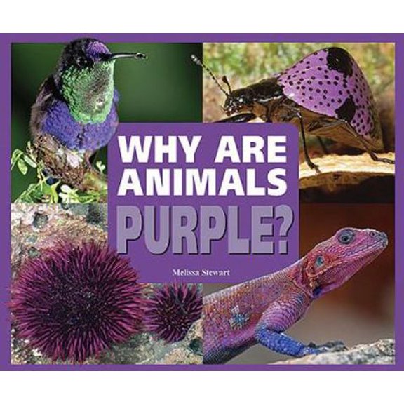 Pre-Owned Why Are Animals Purple? (Library Binding) 076603254X 9780766032545