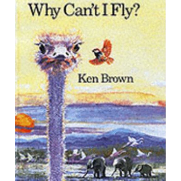 Pre-Owned Why Can't I Fly? (Paperback) 1842700170 9781842700174