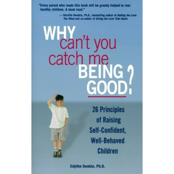 Pre-Owned Why Can't You Catch Me Good (Paperback) 1580622739 9781580622738