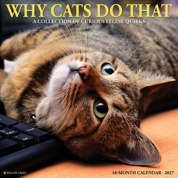 Why Cats Do That 2027 12 X 12 Wall Calendar, (Paperback)