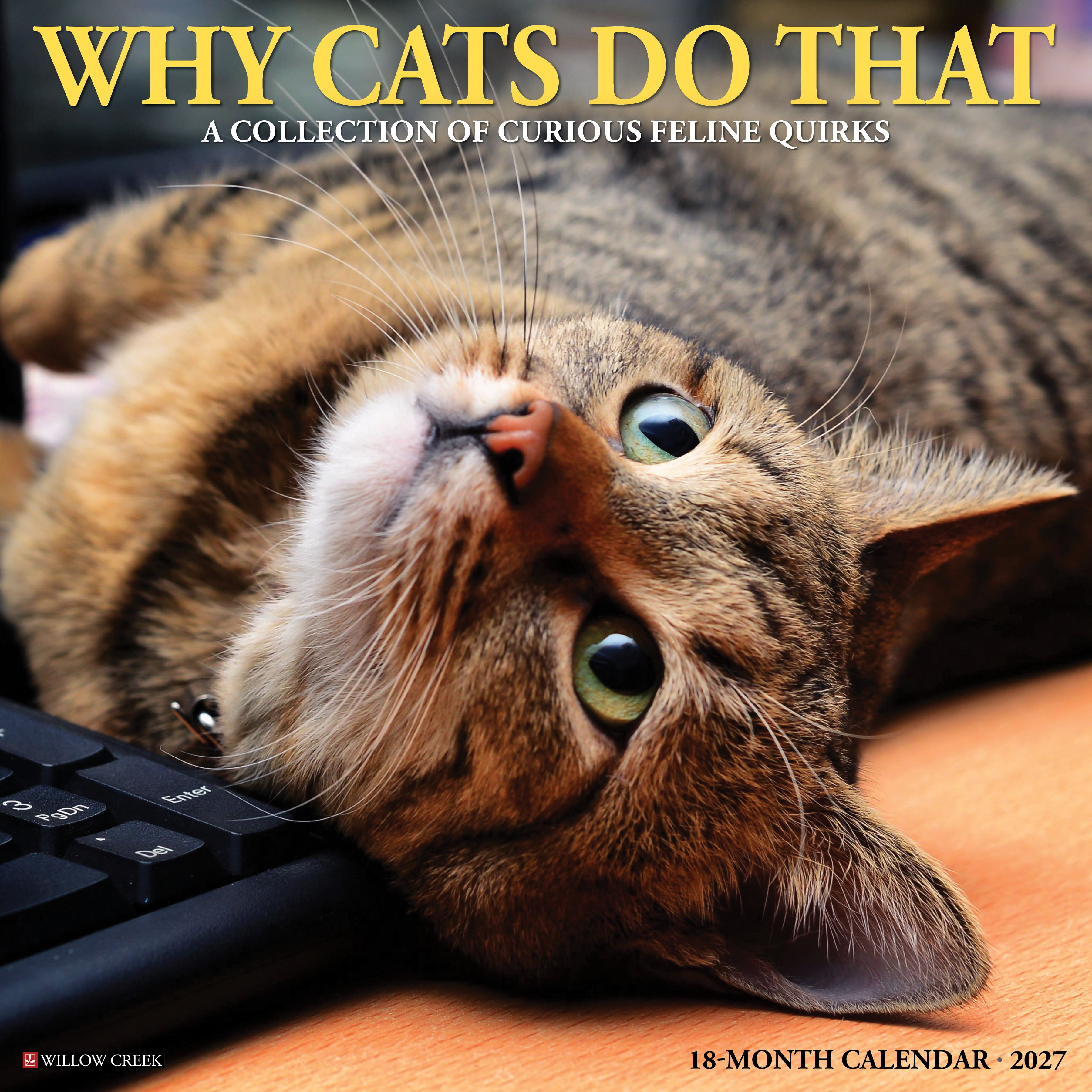 Willow Creek Press, Why Cats Do That 2027 Wall Calendar