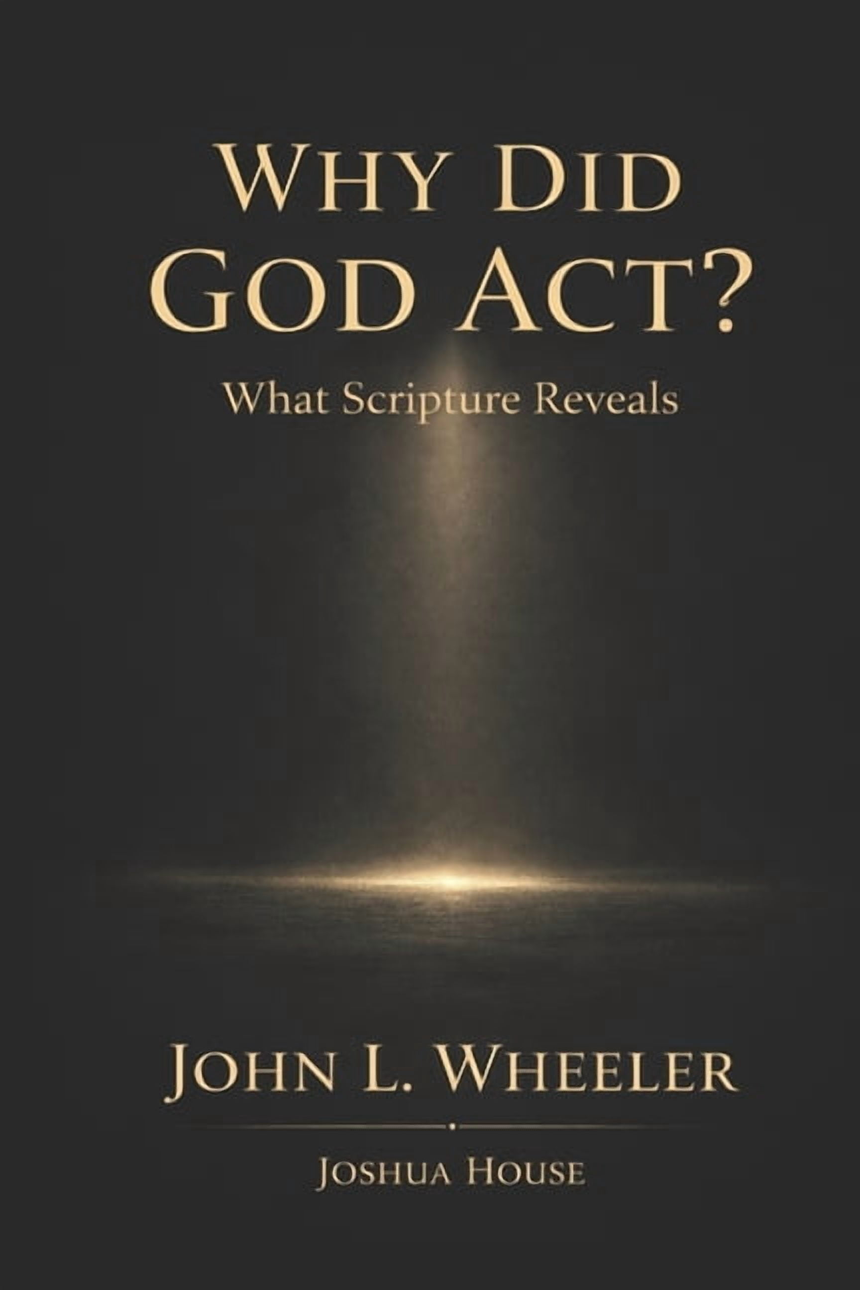 Why Did God Act?: What Scripture Reveals, (Paperback)
