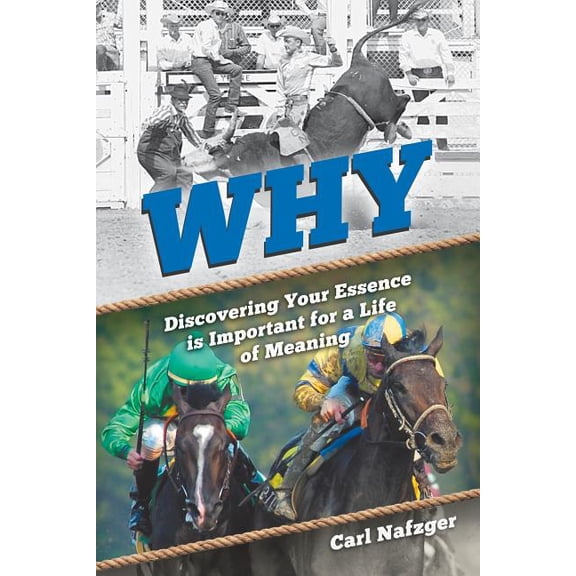 Why: Discovering Your Essence Is Important for a Life of Meaning, (Paperback)