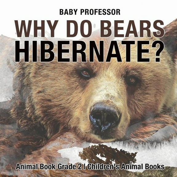 Why Do Bears Hibernate? Animal Book Grade 2 Children's Animal Books (Paperback)