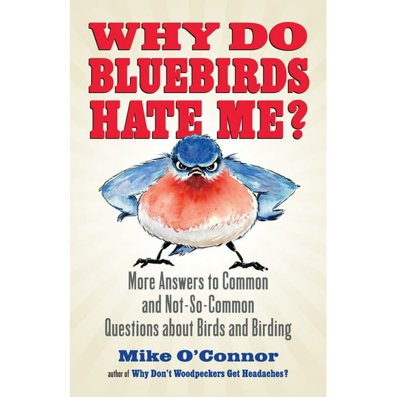 Why Do Bluebirds Hate Me? : More Answers to Common and Not-So-Common Questions about Birds and Birding (Paperback)