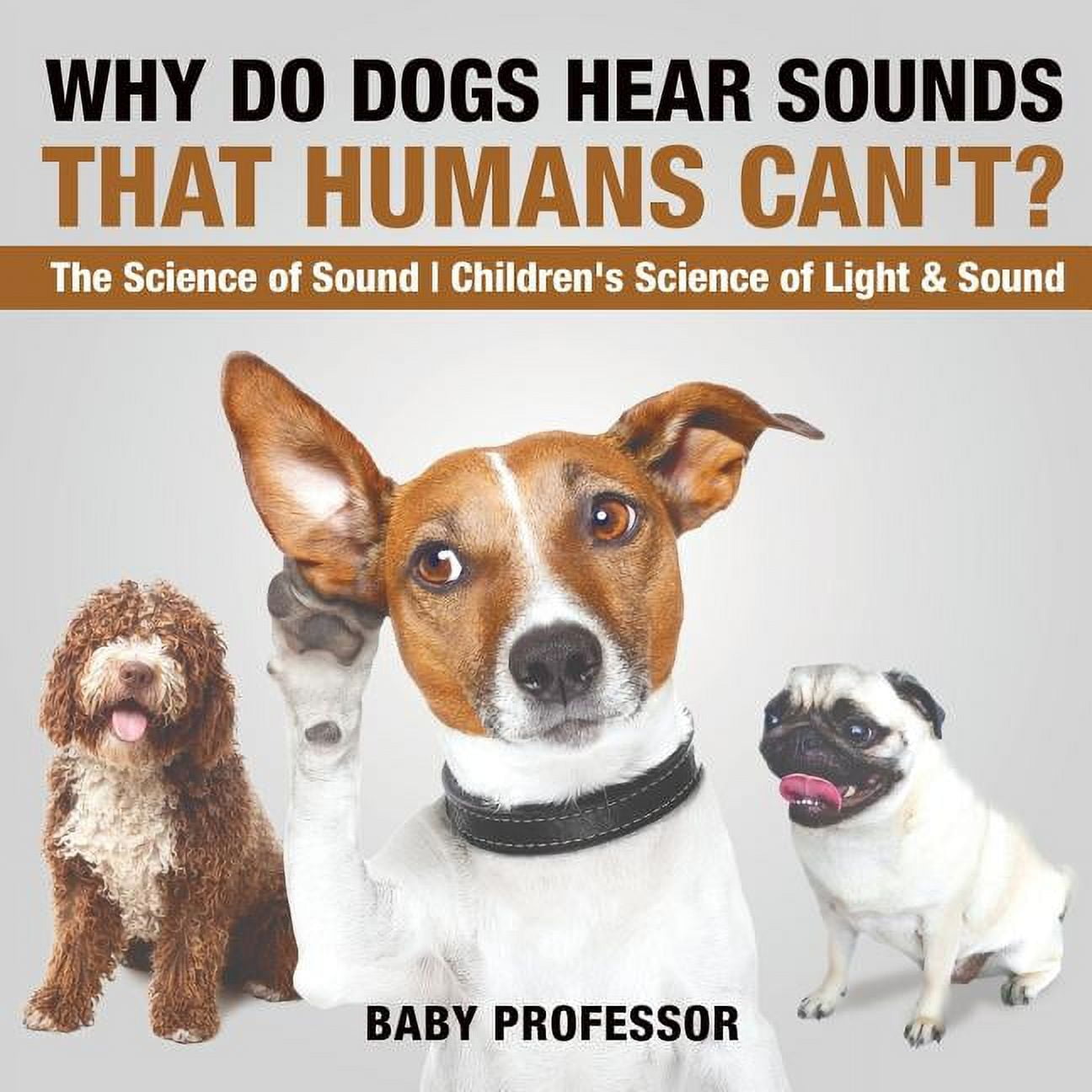 Why Do Dogs Hear Sounds That Humans Can't? The Science of Sound