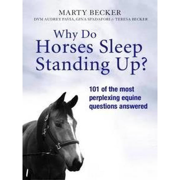 Why Do Horses Sleep Standing Up?