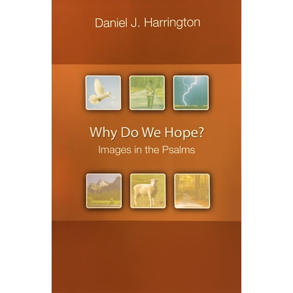Why Do We Hope? : Images in the Psalms (Paperback)