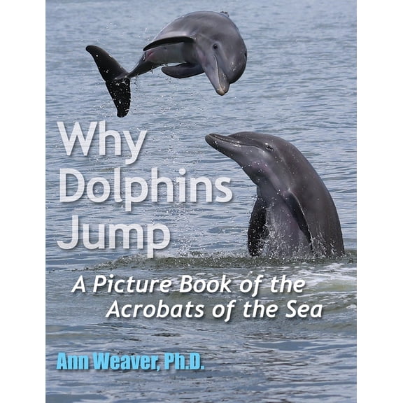 Why Dolphins Jump: A Picture Book of the Acrobats of the Sea, (Paperback)