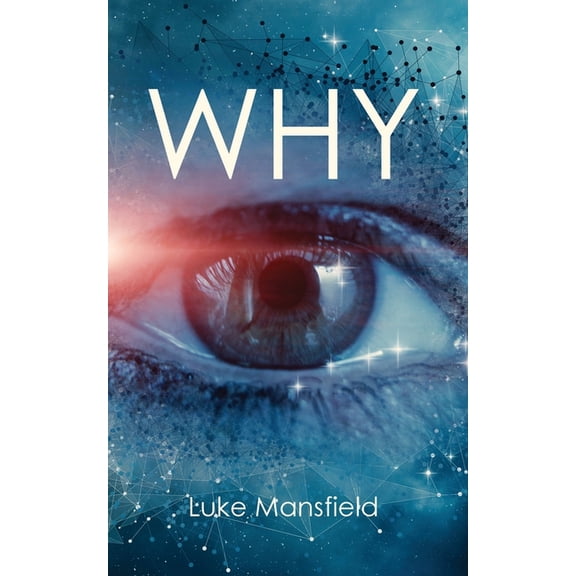 Why: Explanation, guide and reference to basic human motivations, (Paperback)