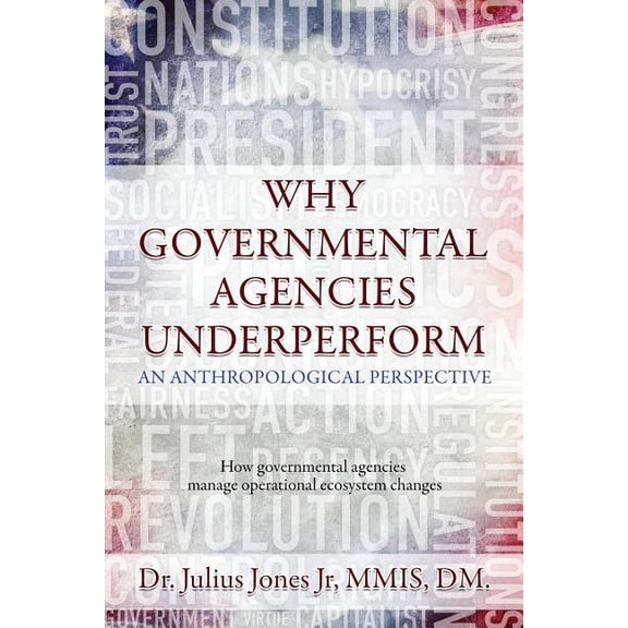 Why Governmental Agencies Underperform: How governmental agencies manage operational ecosystem changes (Paperback)