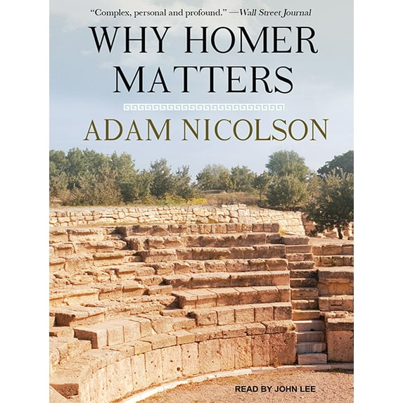 Why Homer Matters (Audiobook)