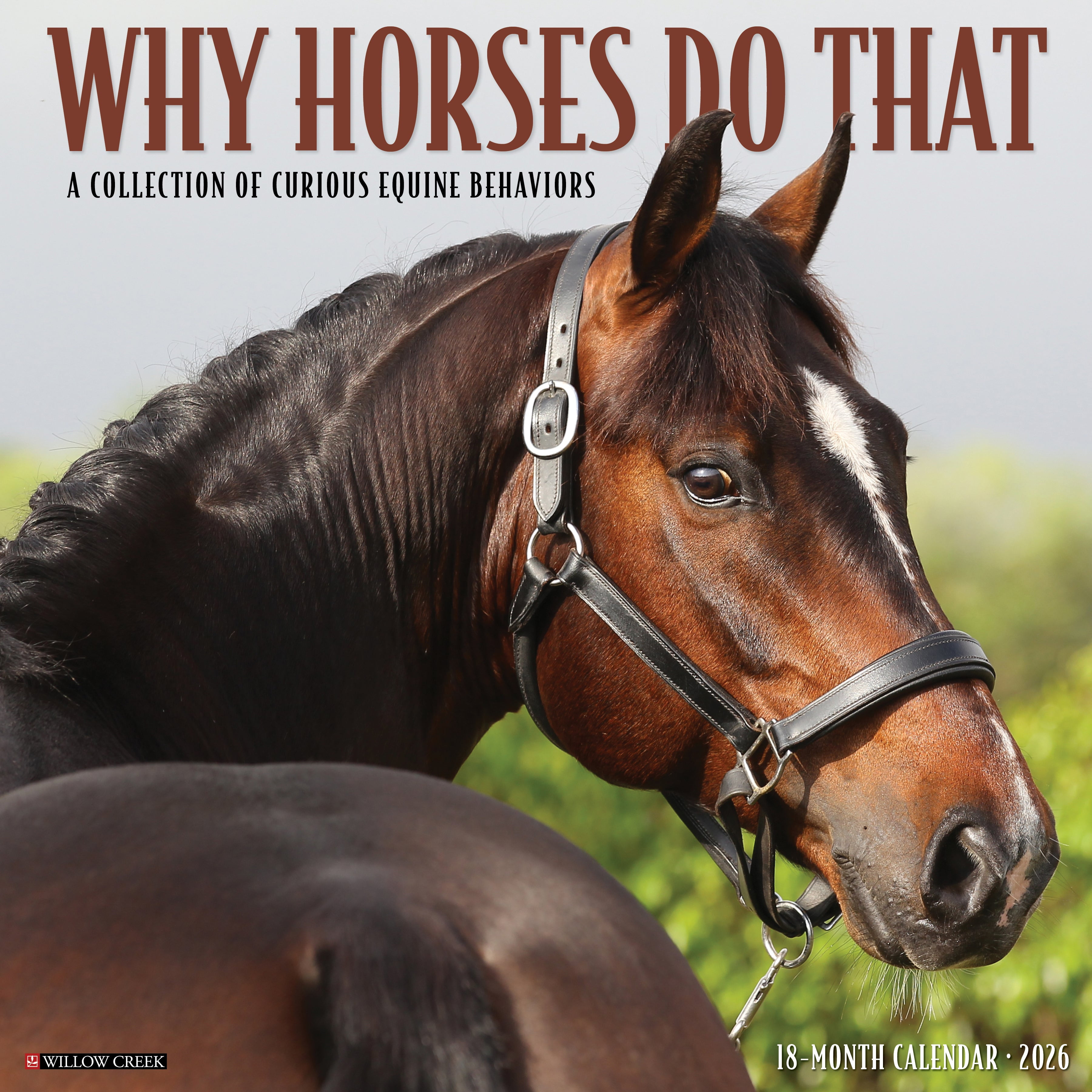 Horse-themed calendar for 2026.