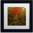 thumbnail image 1 of "Why I Love Autumn 2" Canvas Art by Kurt Shaffer, White Matte, Black Frame, 1 of 4