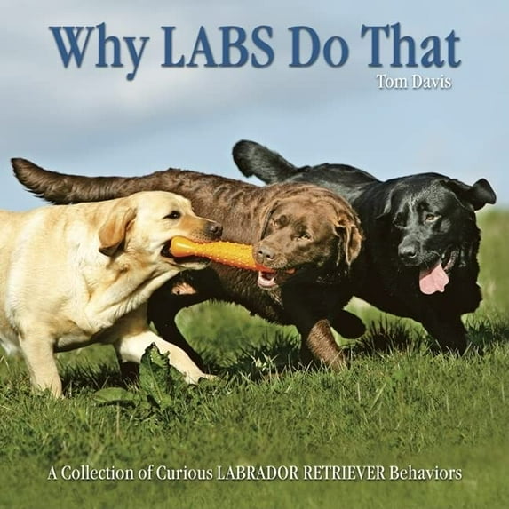 Pre-Owned Why Labs Do That: A Collection of Curious Labrador Retriever Behaviors (Hardcover) 1595434224 9781595434227