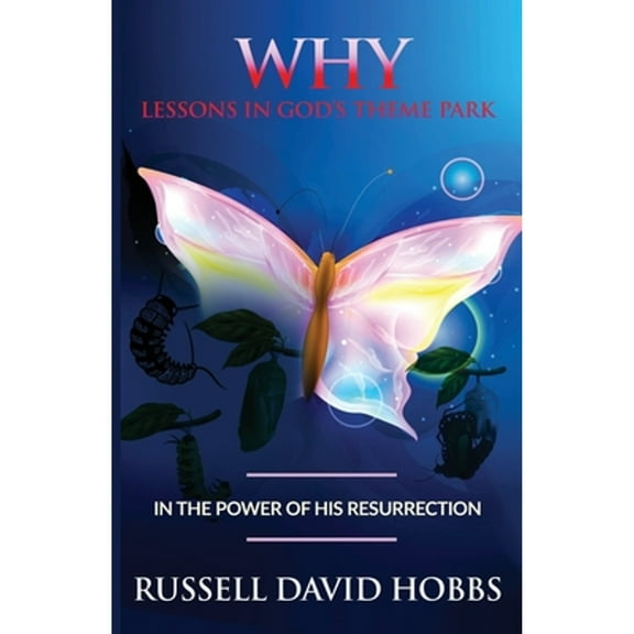 Why: Lessons in God's Theme Park (Paperback)