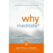 Pre-Owned Why Meditate? (Paperback) 1401926630 9781401926632