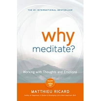 Pre-Owned Why Meditate? (Paperback) 1401926630 9781401926632