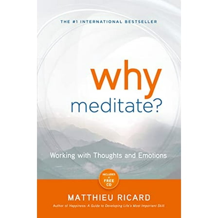 Pre-Owned Why Meditate? (Paperback) 1401926630 9781401926632