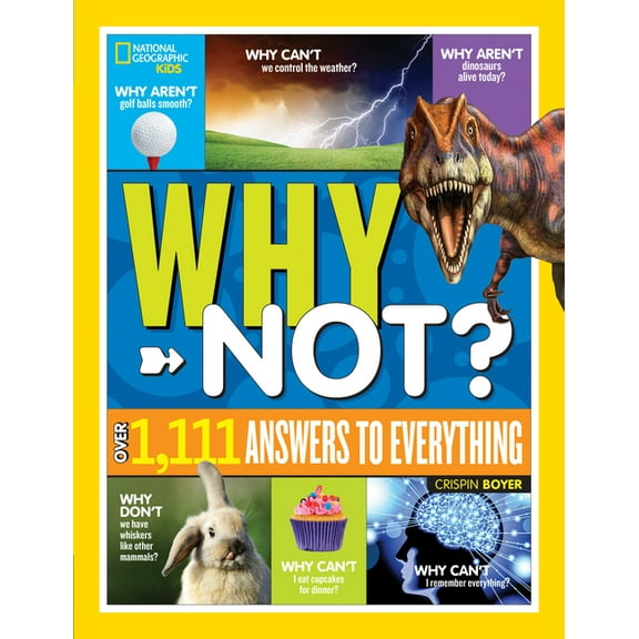 Why Not Ask Why Not?