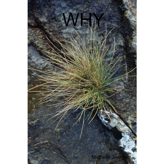 Why (Paperback)
