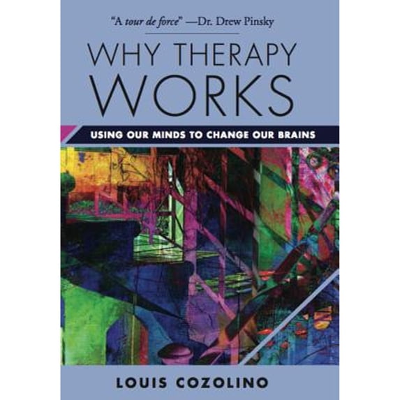 Pre-Owned Why Therapy Works: Using Our Minds to Change Our Brains (Hardcover) 0393709051 9780393709056